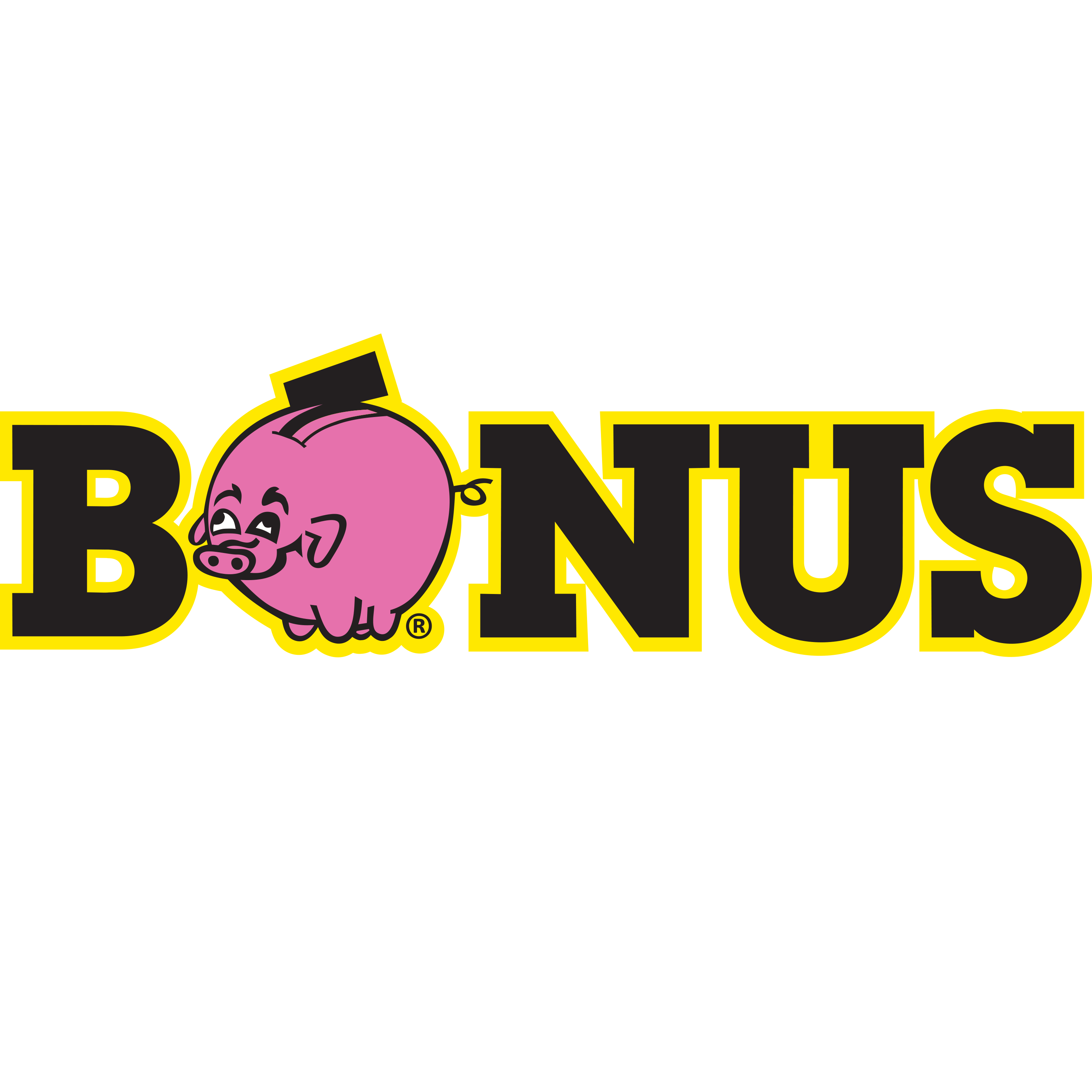 Bónus Reykjanesbæ logo